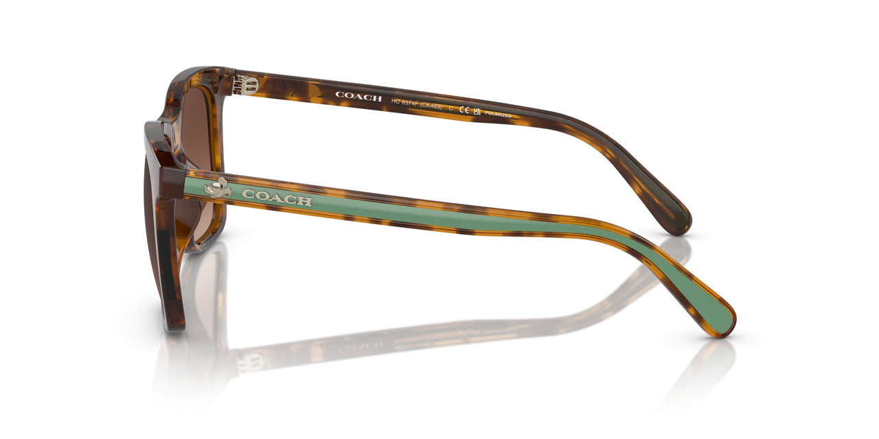 5120T5 - Tortoise - Brown Gradient Polar