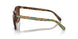 5120T5 - Tortoise - Brown Gradient Polar
