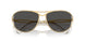400487 - Gold - Dark Grey