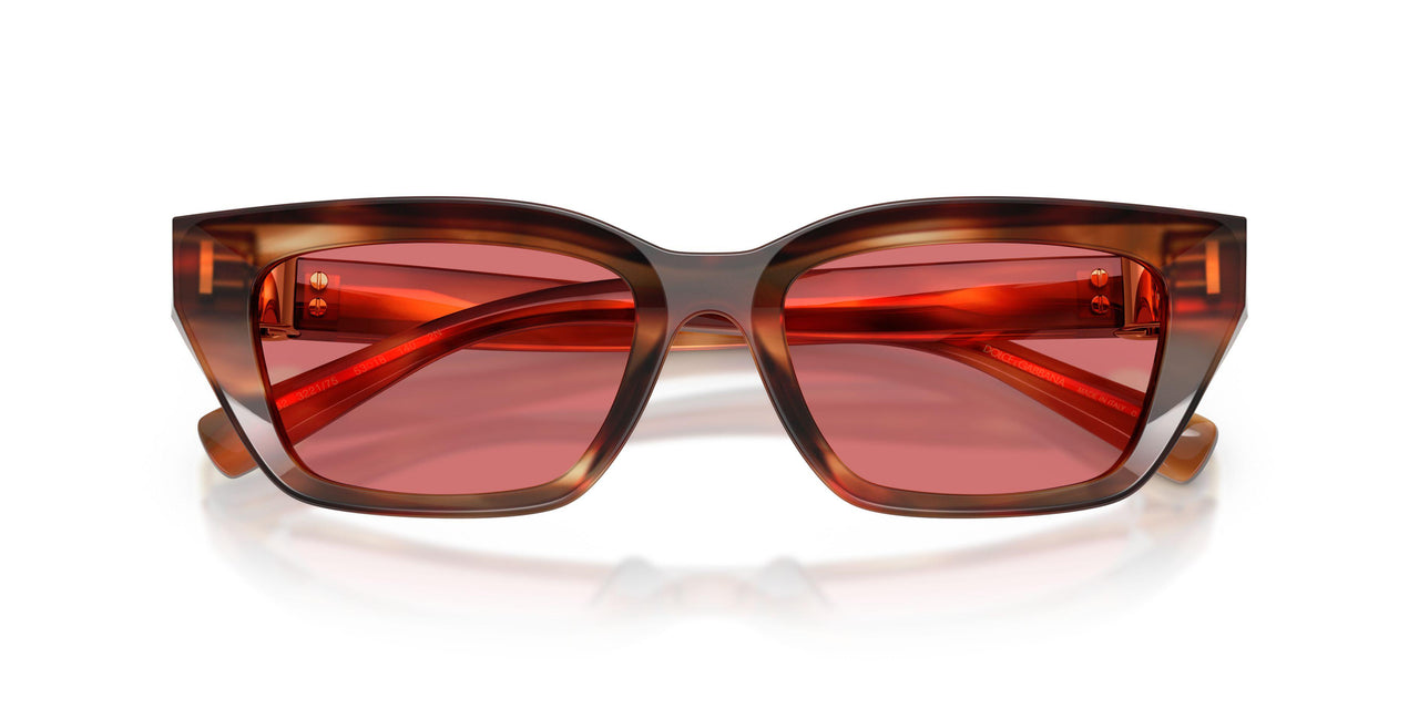 322175 - Tortoise - Red