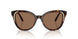 100273 - Brown - Dark Brown