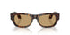 502673 - Tortoise - Brown