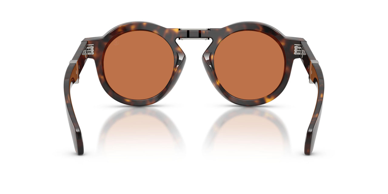 300273 - Tortoise - Brown Solid
