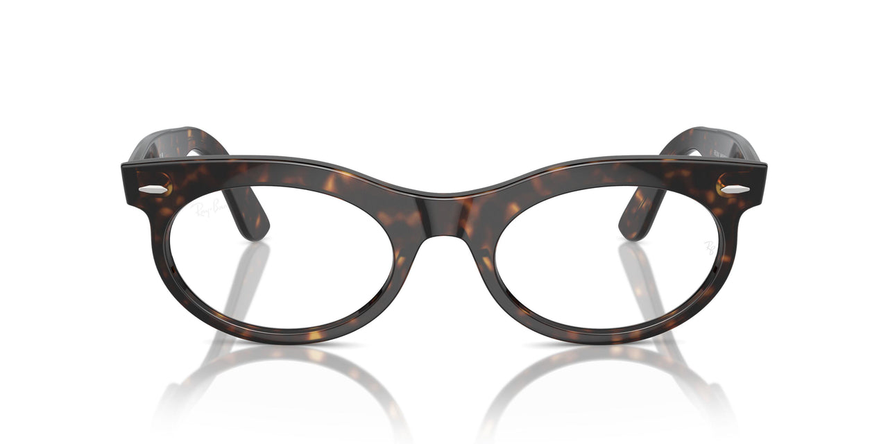 902/GI - Tortoise - Clear/brown