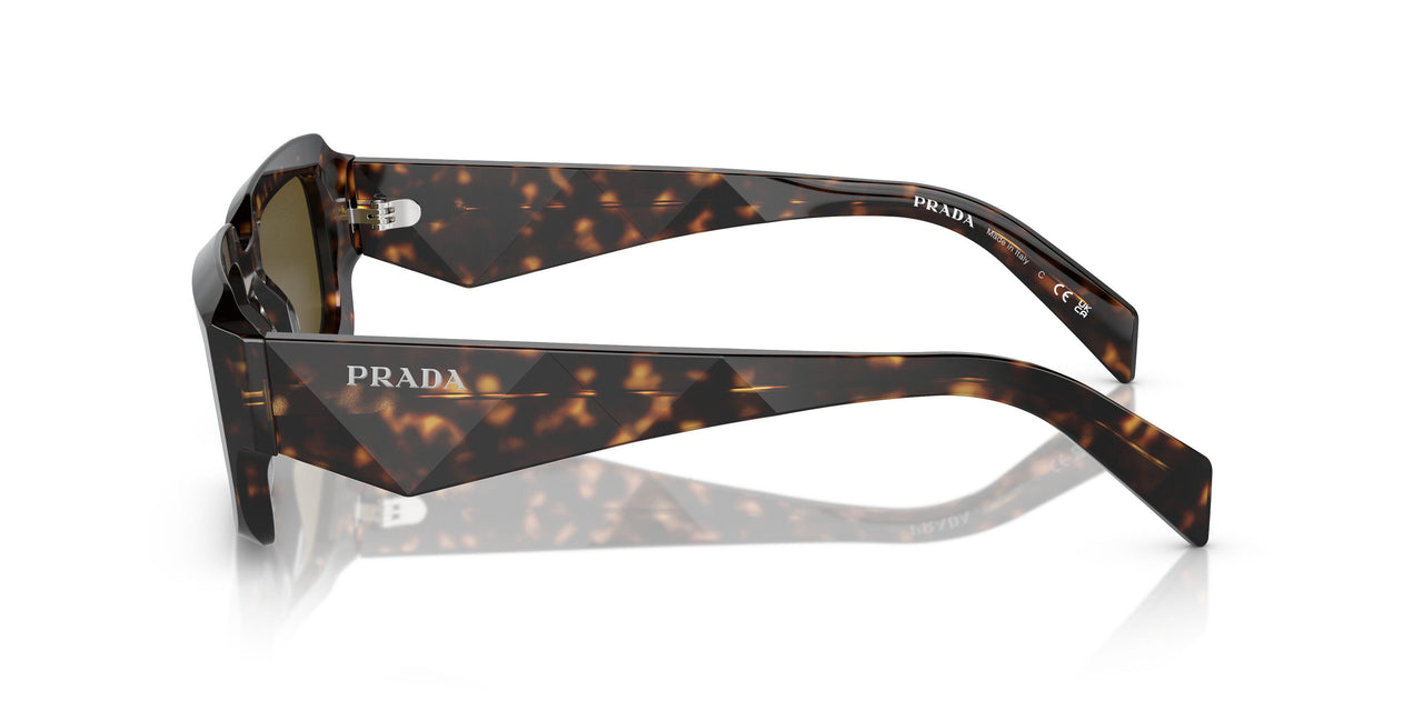 19J09Z - Green - Dark Brown