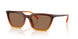 401073 - Orange - Brown Solid