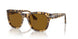 105633 - Brown - Brown
