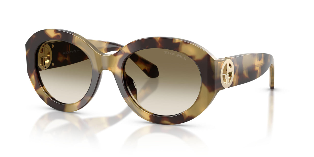 630113 - Tortoise - Brown Gradient