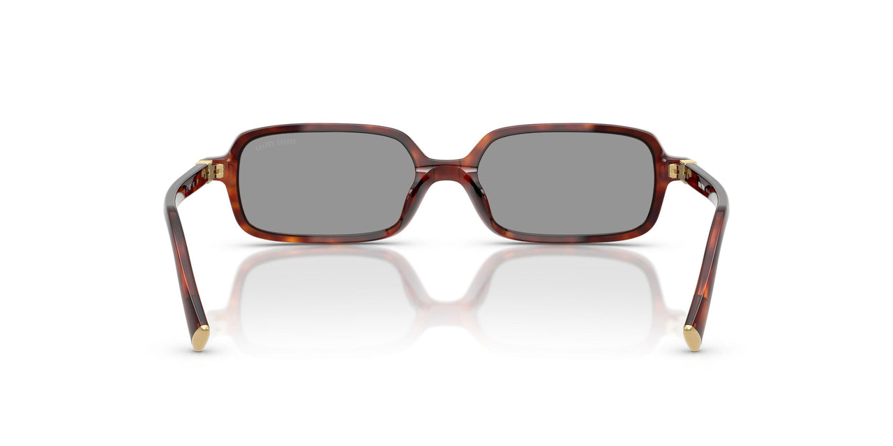 21C40O - Tortoise - Grey