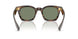 179452 - Brown - New G-15