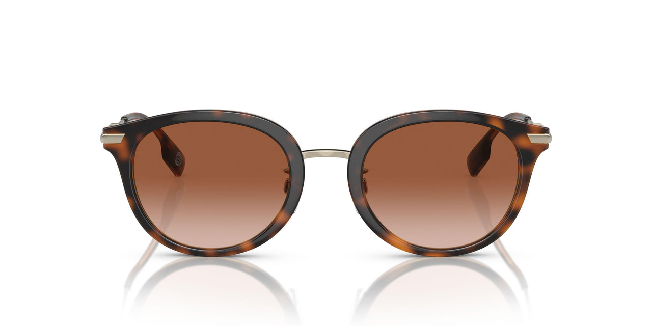 300213 - Brown - Brown Gradient