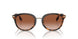 300213 - Brown - Brown Gradient