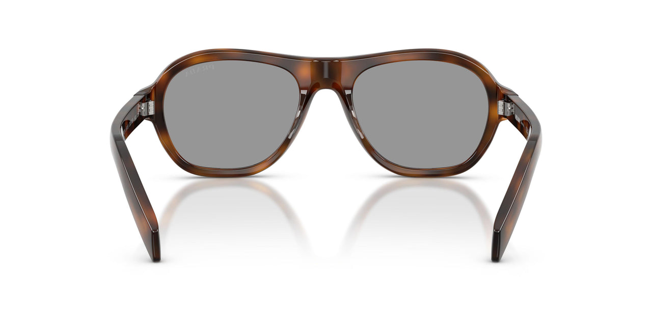 20D50Q - Havana Brown