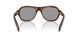 20D50Q - Havana Brown
