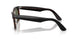 144058 - Black - Polarized Green