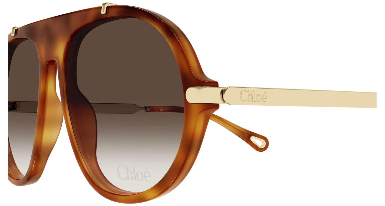 002 - Havana/Gold - Brown