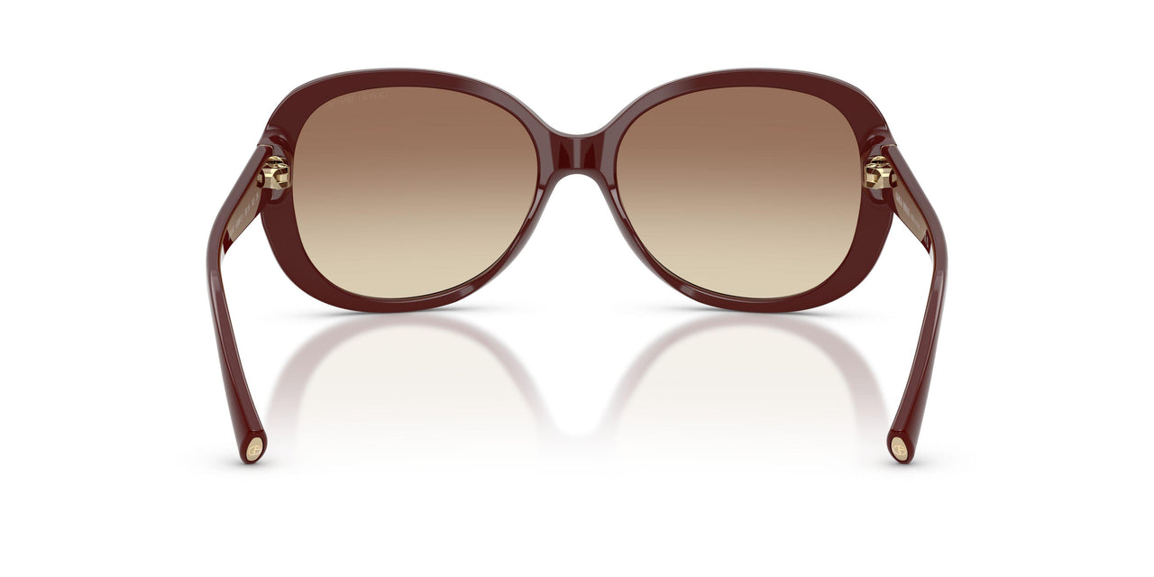 639913 - Red - Brown Gradient