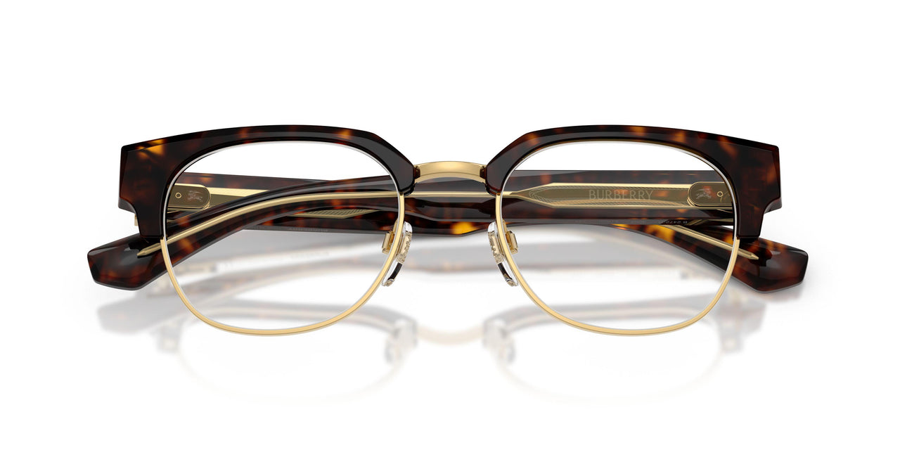 3002 - Brown