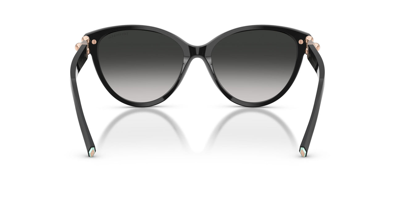 80013C - Black - Grey Gradient