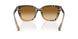 420213 - Brown - Brown Gradient