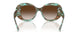 84223B - Tortoise - Brown Gradient