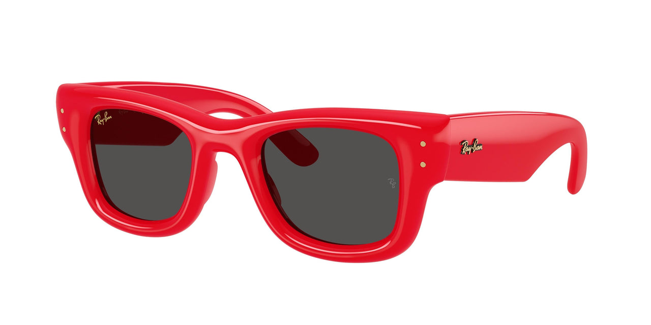 Ray-Ban Wayfarer Puffer 4940 Sunglasses