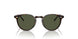 174152 - Tortoise - G-15