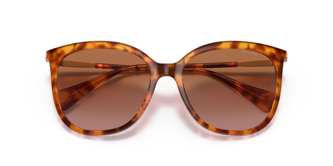 591113 - Havana - Gradient Brown