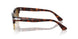 24/33 - Tortoise - Brown