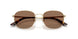 300673 - Gold - Dark Brown