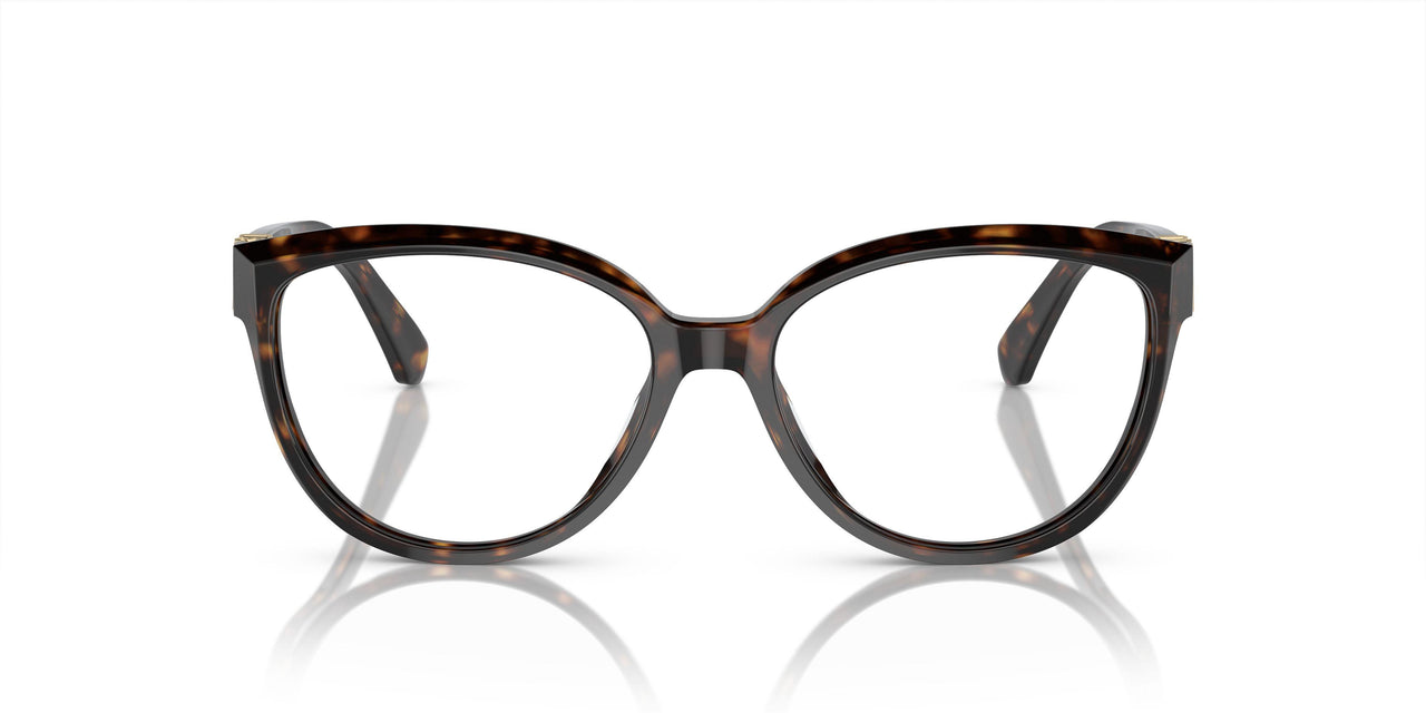 3953 - Amazon Green Tortoise