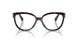 3953 - Amazon Green Tortoise