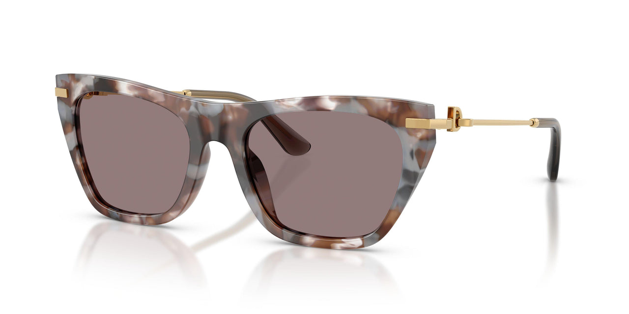 34457N - Tortoise - Dark Purple