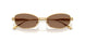 403773 - Gold - Dark Brown