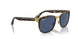 001/80 - Tortoise - Dark Blue