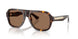 420573 - Brown - Dark Brown