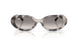 144832 - Grey - Clear Gradient Grey