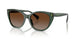 6206T5 - Green - Polar Gradient Brown