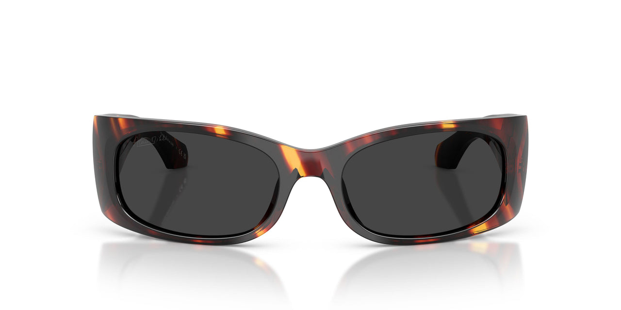 004/48 - Tortoise - Polarized Black