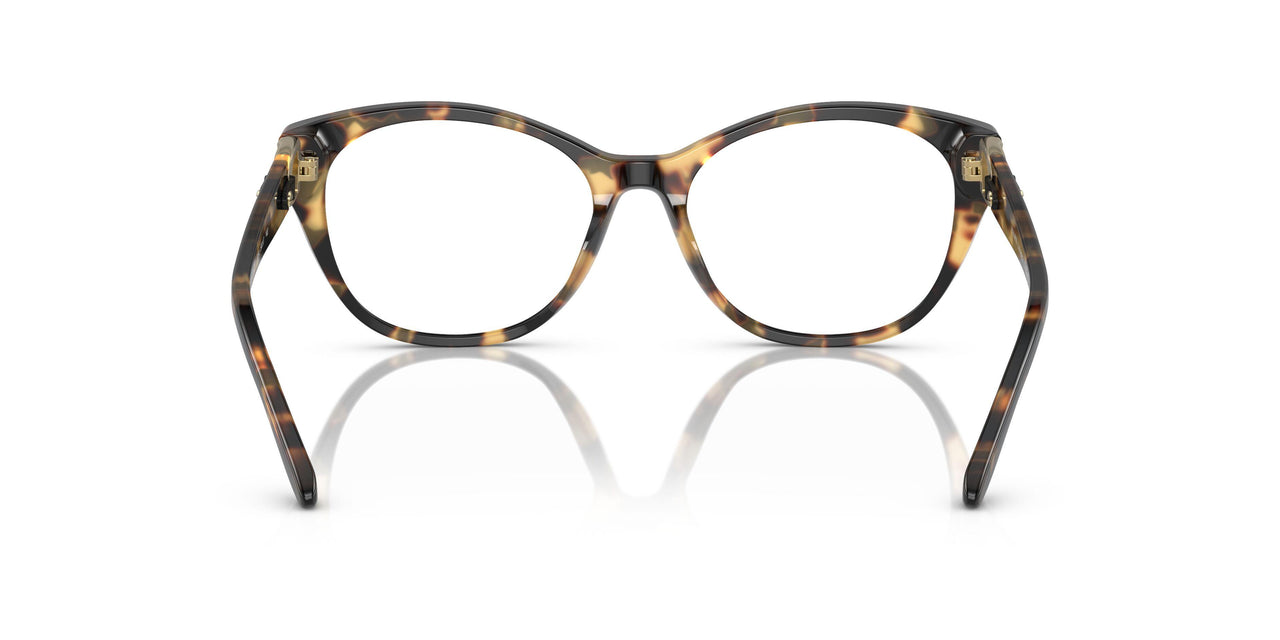 5004 - Tortoise