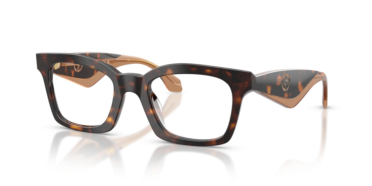 5026 - Tortoise