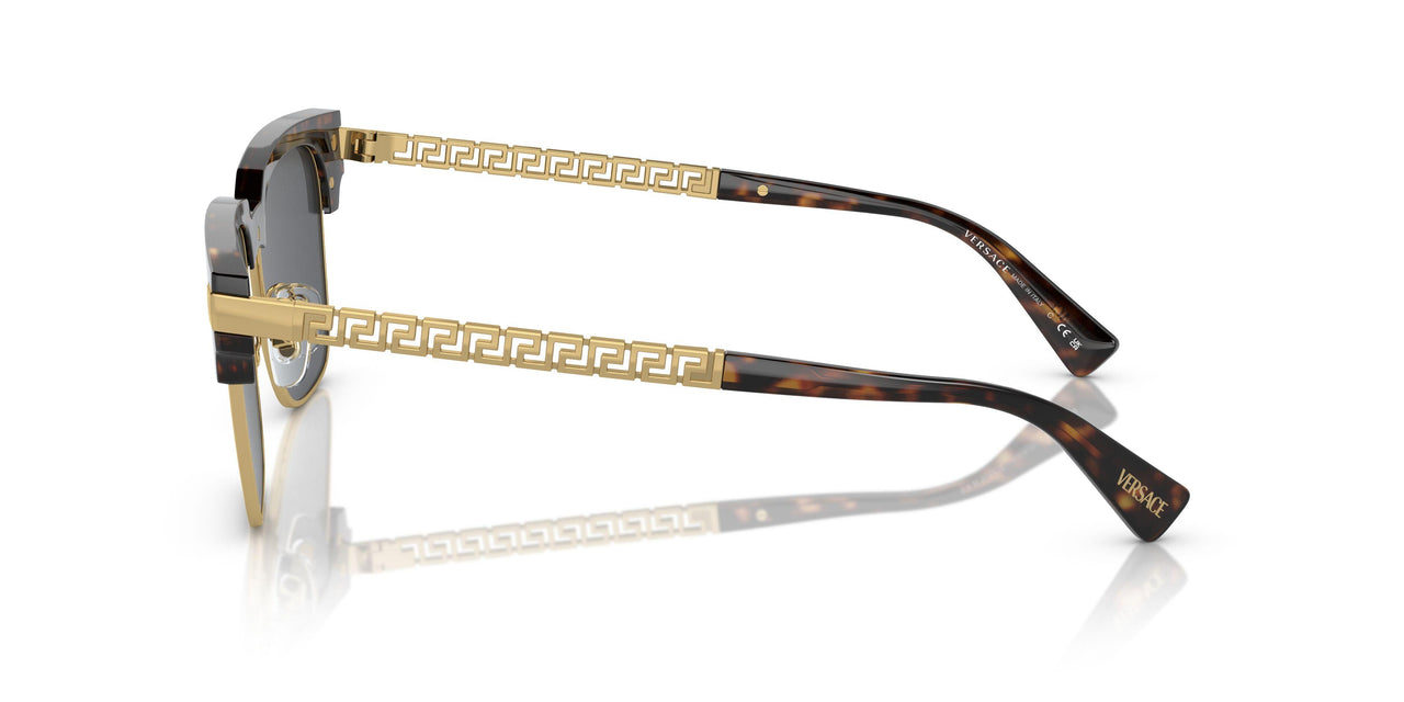 108/87 - Tortoise - Dark Grey