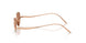 301173 - Gold - Brown