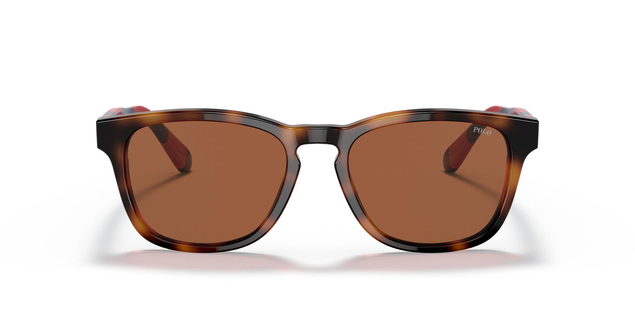530373 - Havana - Brown