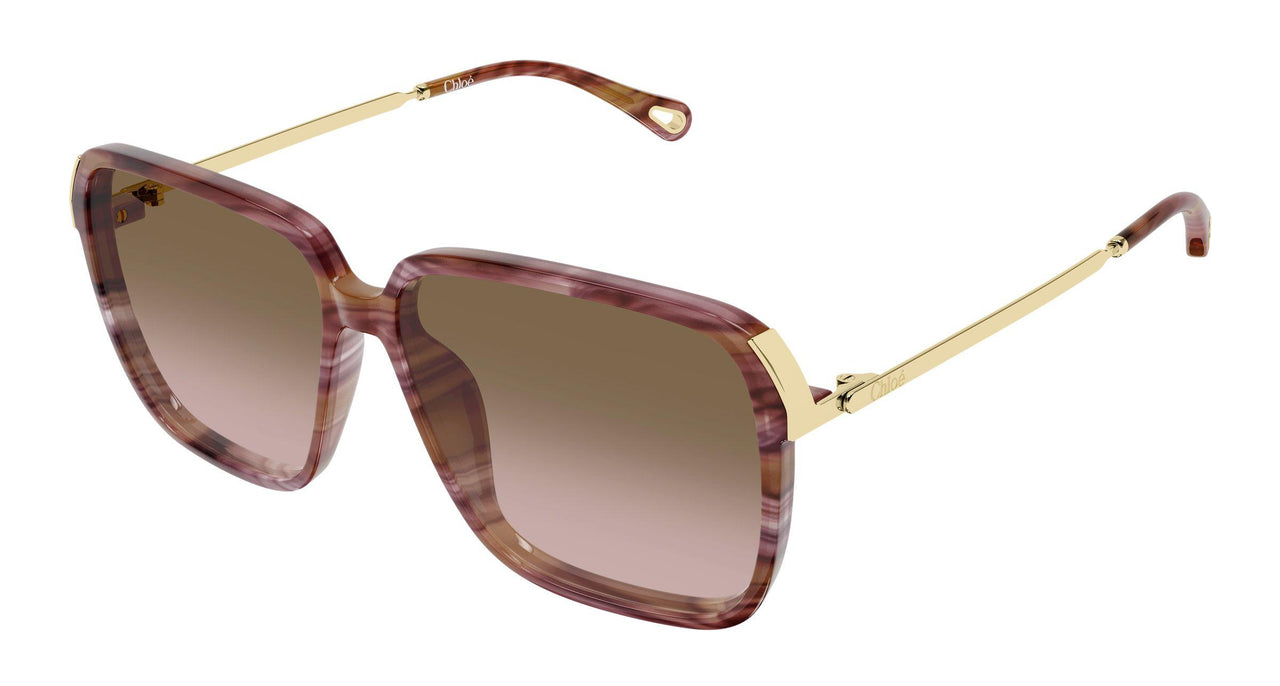002 - Havana/Gold - Brown