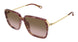 002 - Havana/Gold - Brown