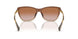 613313 - Brown - Gradient Brown