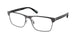 Polo 1232 Eyeglasses