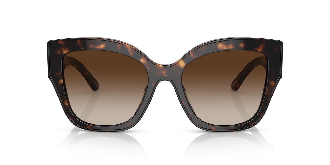 172813 - Havana - Brown Gradient