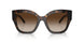172813 - Havana - Brown Gradient